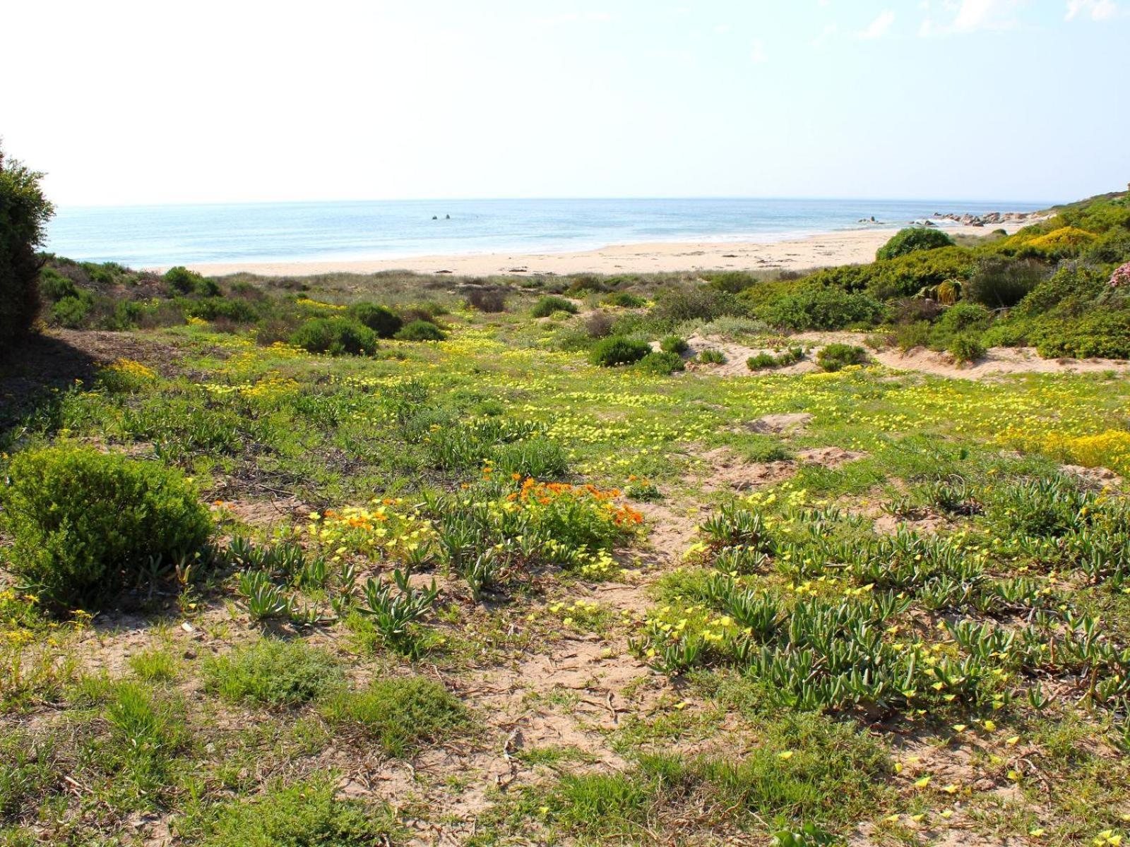 Absolute Beach Accommodation Britannia Bay Buitenkant foto